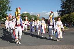 Dantzari gazteak Nafarroako Danztari Egunean, artxiboko irudian.