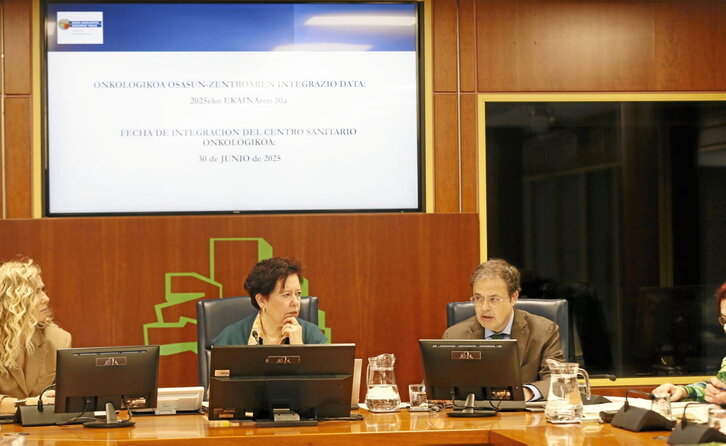 El consejero de Salud, Alberto Martínez, durante su comparecencia en el Parlamento de Gasteiz.