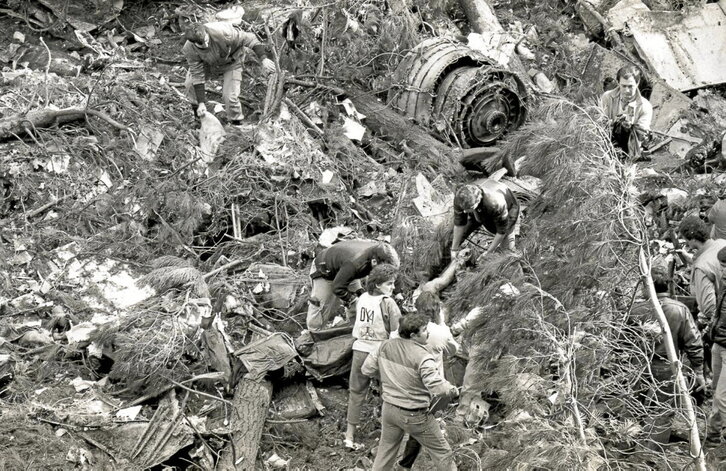 Hegazkin zatiak Oiz mendiko pinudietan barreiatu ziren erorketaren ondoren.