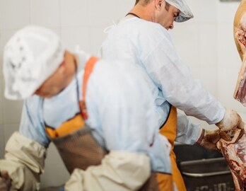 Tolosako hiltegiko langileak greba mugagabea egiten ari dira.