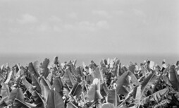 Una de las fotos de la muestra. 