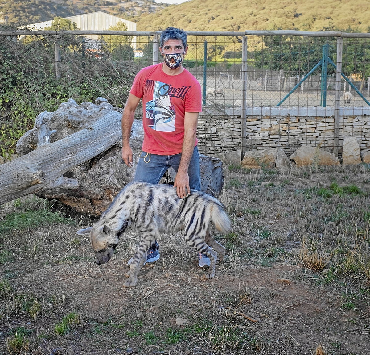 Isaac y su hiena Risas, en Urretxu.