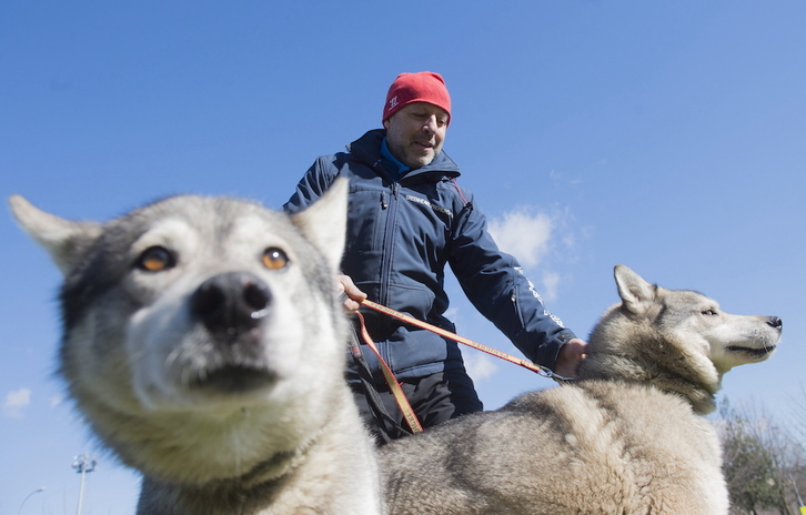 El ‘musher’ navarro Baltasar Gallardo, con sus perros.