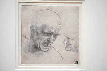 Dibujo de Leonardo Da Vinci, incluido en la exposición «Obras maestras sobre papel de Budapest», que hasta junio se puede visitar en el Museo Guggenheim de Bilbo.