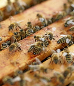 gara-2025-03-08-Noticia