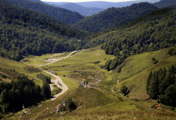 Iratiko zelai eta basoak, Mendibe inguruan.