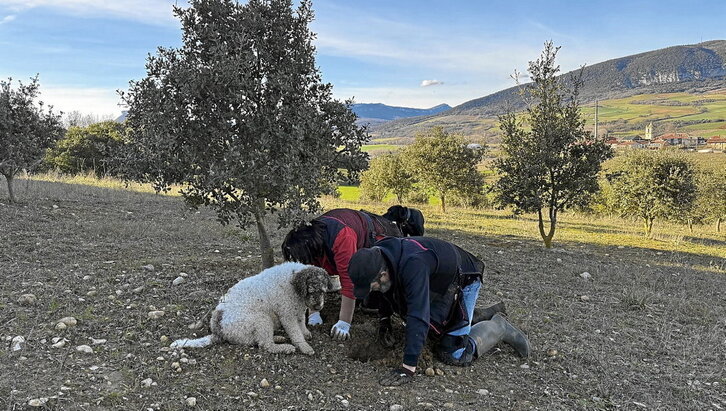 «Jossete», «Txutxo» eta Abby, boilurrak topatzen elkarlanean.