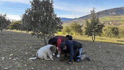 «Jossete», «Txutxo» eta Abby, boilurrak topatzen elkarlanean.