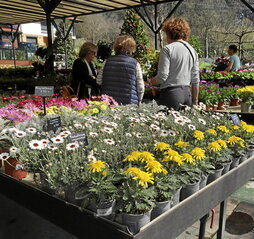 Apirilean eta maiatzean Euskal Herria osora zabalduko dira azokak.