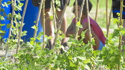 Belaunaldi arteko erreleboa eta gazteak sektorera erakartzea dira baserritarren kezka nagusiak.