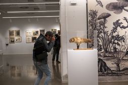 La muestra estará abierta hasta junio. 