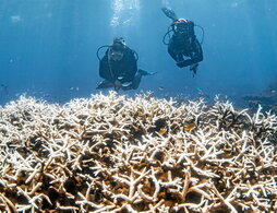 gara-2025-03-26-Noticia