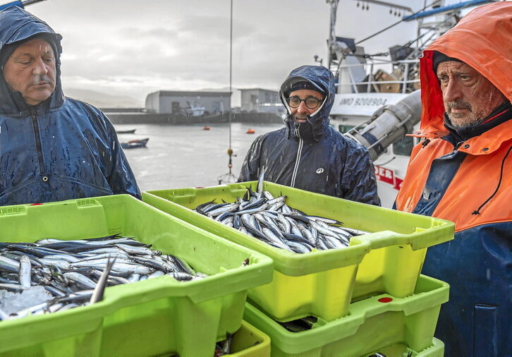 Arrantzaleak, Hondarribiko portuan antxoa deskargatzen, joan den martxoaren 13an.
