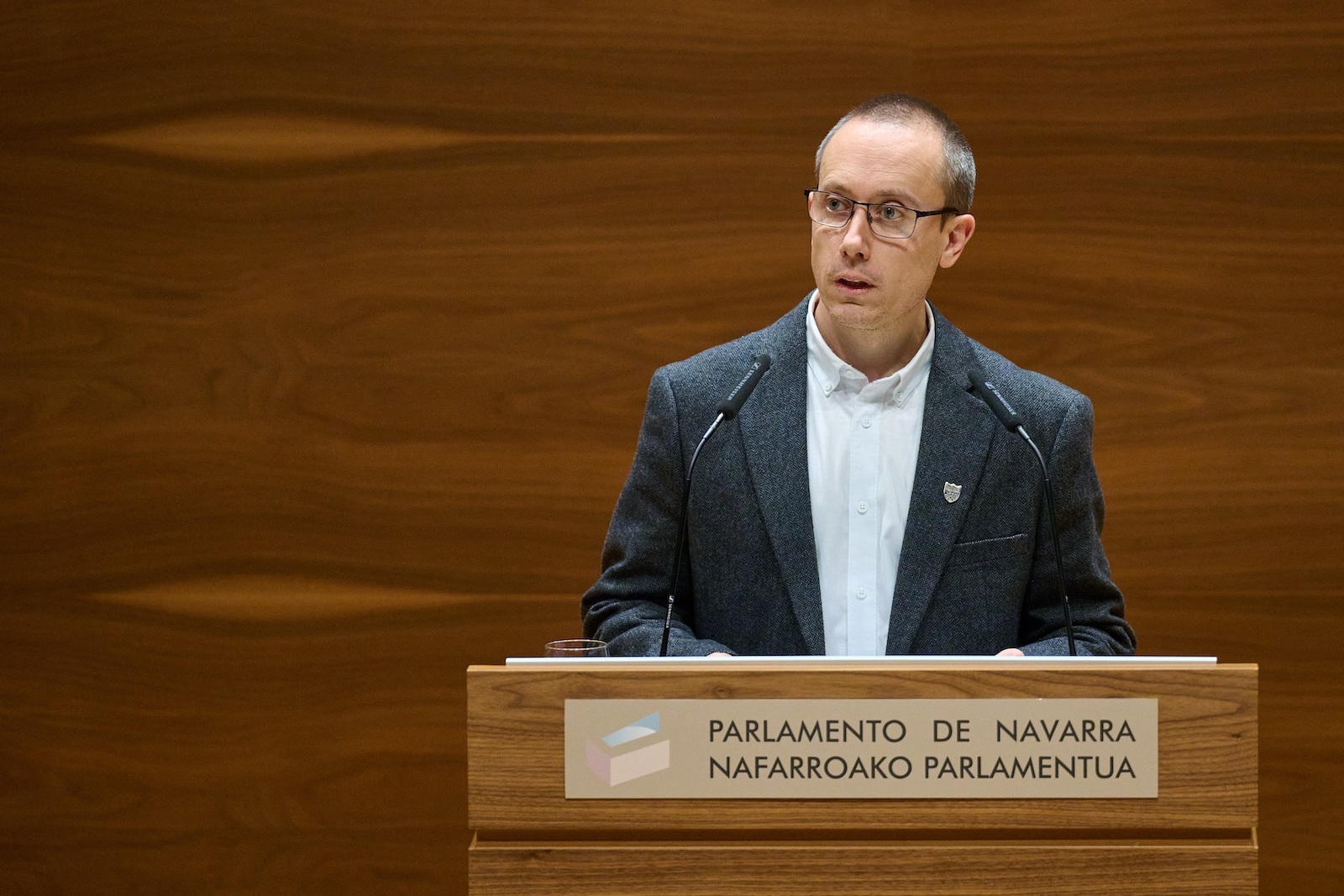 Mikel Zabaleta se convierte en portavoz adjunto. (PARLAMENTO DE NAFARROA)