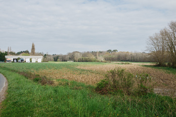 Zangobaloi terrenoa aldatzekoa asmoa du Herriko Etxeak.