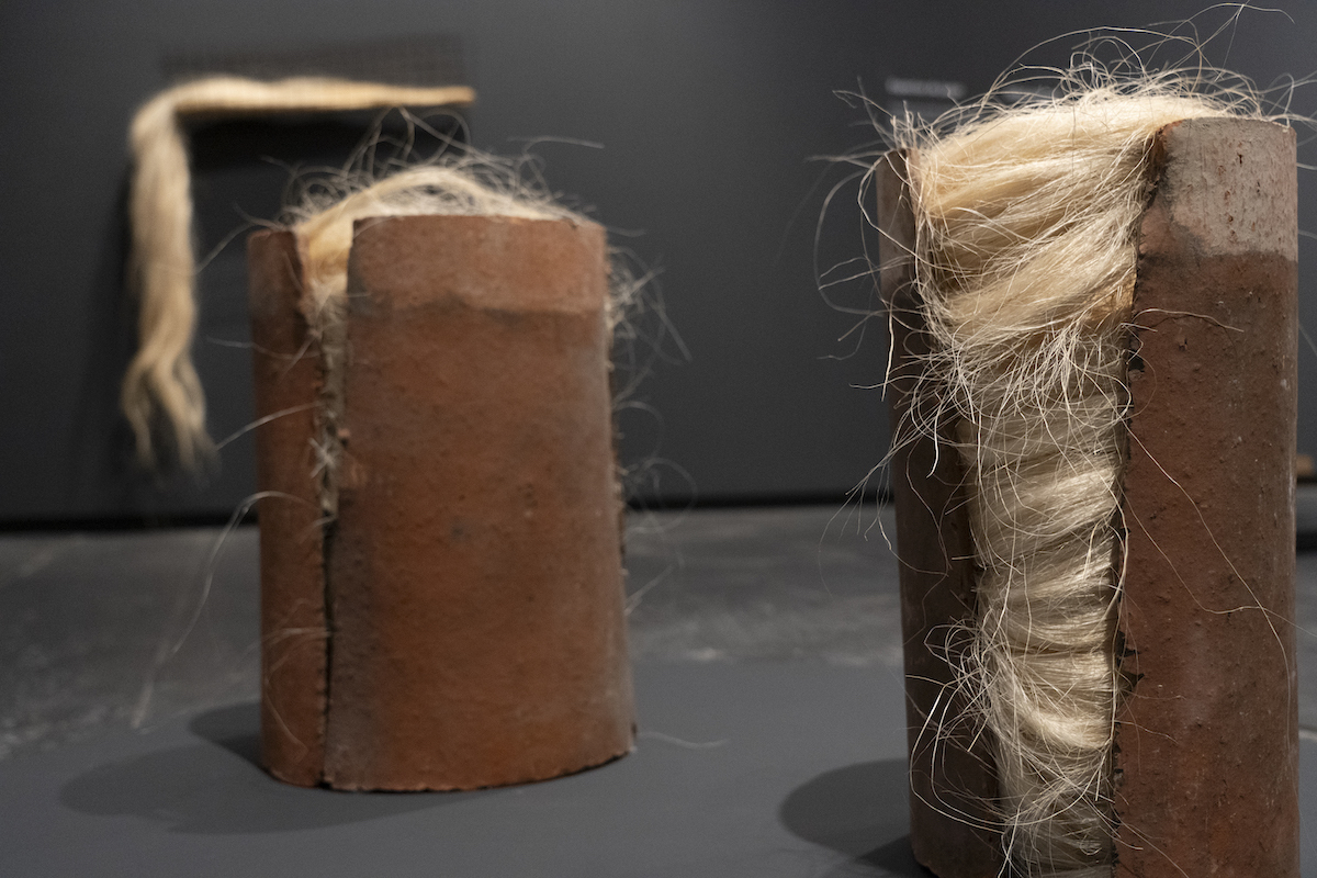 Imagen de la exposición que alberga el Museo de Navarra.