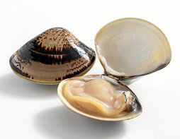 gara-2025-03-28-Noticia