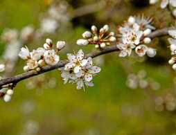 gara-2025-04-02-Noticia