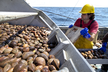 Saint Pierre-Miquelon exporta productos del mar a Estados Unidos.