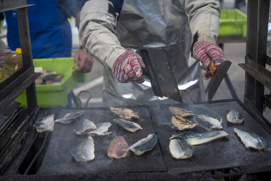 Berdel errea sukaldatzen, portuan.