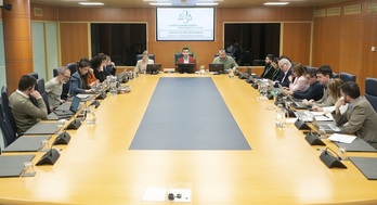 Reunión de la comisión parlamentaria en la que el diredctor de Gogora ha expuesto sus próximos proyectos.