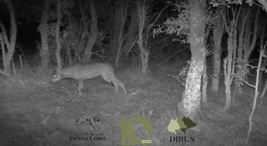 Captura_de_pantalla_2025-04-09_a_las_15.33.53