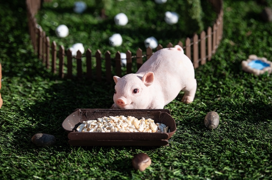 À côté des jambons, les exposants avaient prévu une décoration champêtre.