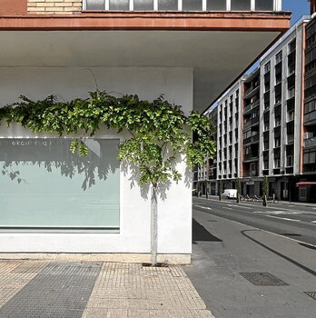 Parra  bat Ekain Jimenezen estudioaren kanpoaldean.