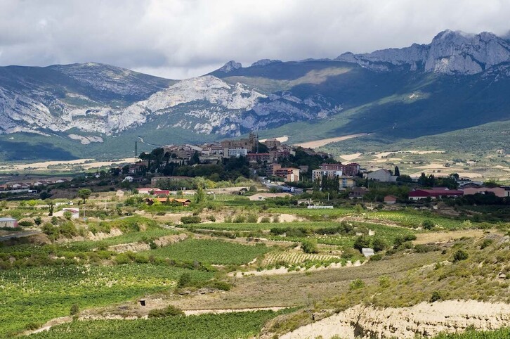 La localidad arabarra de Guardia, en cuyo término municipal se ha producido el accidente mortal.