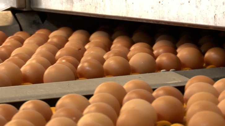 El precio de los huevos ha escalado hasta un máximo histórico en EEUU.