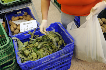 Los productores anuncia una «excelente calidad» de la alcachofa de Tutera.