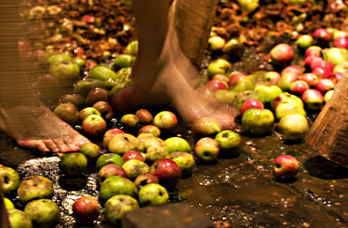 Sagardogintza Igartubeiti Baserri Museoan, artxiboko irudian.