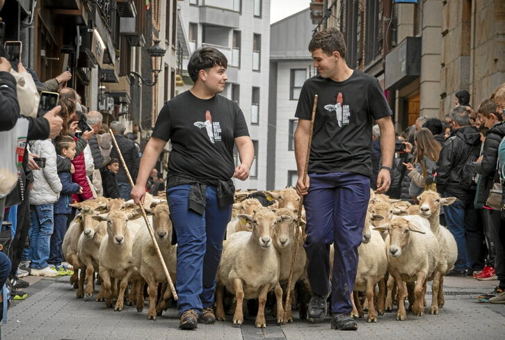 Ordizian, 1.500 ardi inguru, Artzain Egunean.