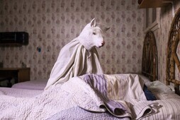 Eskaintza anitza eskaini du aurtengo Argazki Bilerak.