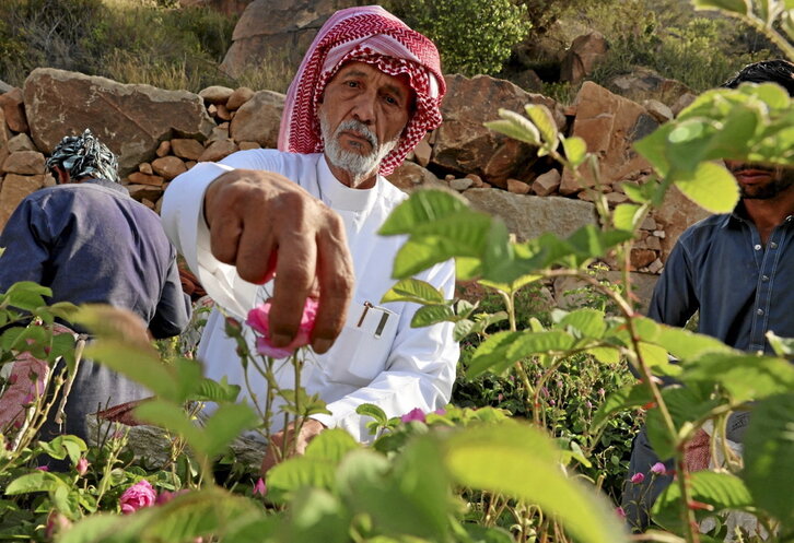 Khalafallah al-Talhi, en su plantación de rosas de Damasco.