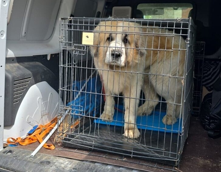 Imagen publicada en redes por la Policía Foral tras la intervención a primera hora de la tarde en Goñi.