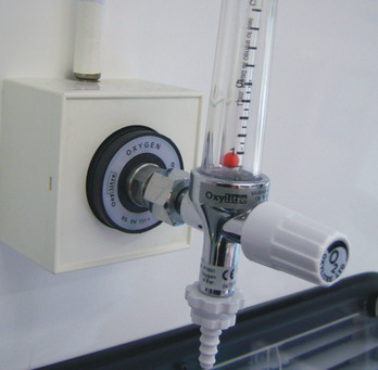 La mujer fallecida necesitaba un tratamiento de oxigenoterapia.