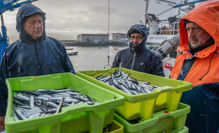 Hondarrabiko portuan antxoa deskargatzen, martxoan.
