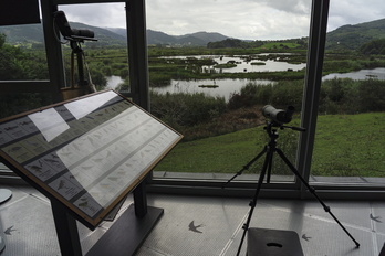 Urdaibai Bird Center, Arteagan.