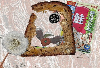 Konponenda konexioa.