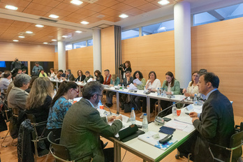 Octava reunión plenaria de la Mesa de Salud.
