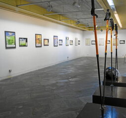 Irudiotan, Tolosako Aranburu Jauregian egunotan ikusgai dagoen erakusketaren lagin bat.