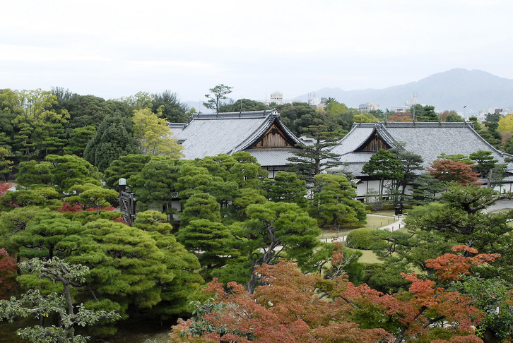 Gazteluaren lorategia.