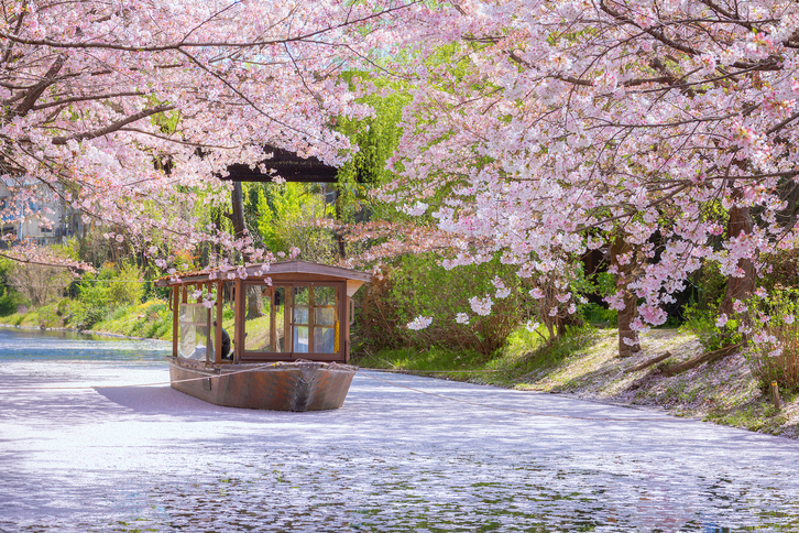 Japoniak gero eta turista gehiago erakartzen ditu.