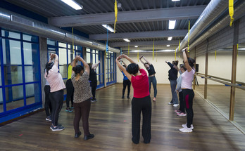 Zainztaile profesionalei zuzendutako programak abendura arte iraungo du.