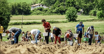 Hainbat pertsona, maiatzaren 17an, Marieneko lurretan haziak ereiten.