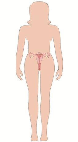 gara-2025-05-26-Noticia