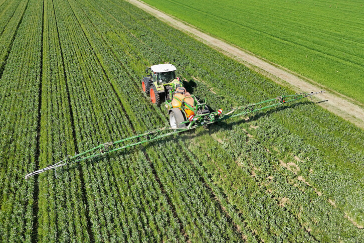 La contaminación por plaguicidas ha aumentado en los alimentos cotidinados, según un estudio.