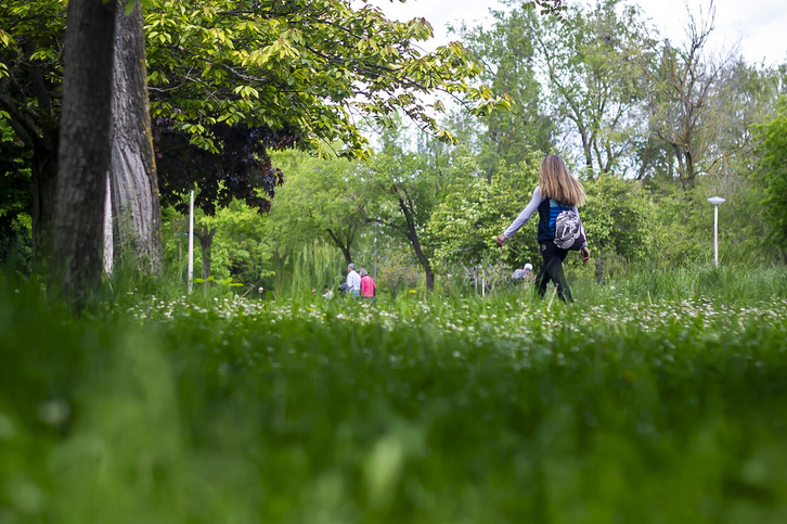 Gasteizko lorategietan belarra eta sasiak nabarmen hazi dira azken bi hilabeteetan.