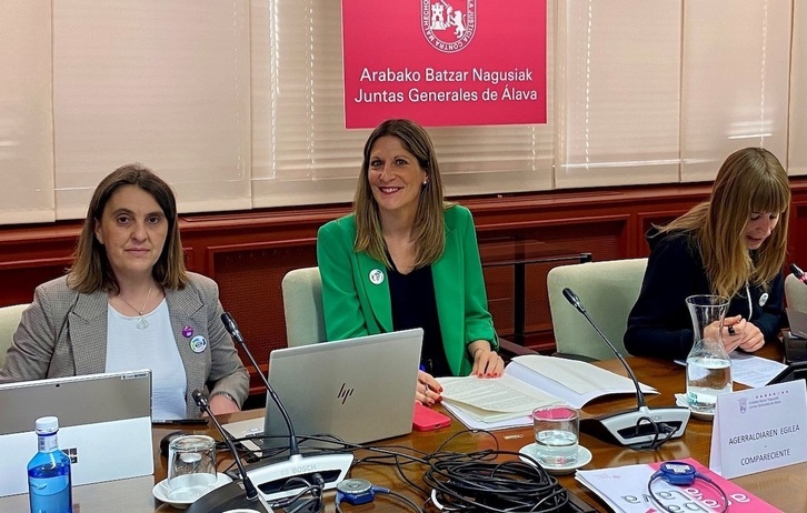 La diputada Zárate, en una comparecencia anterior en Juntas.